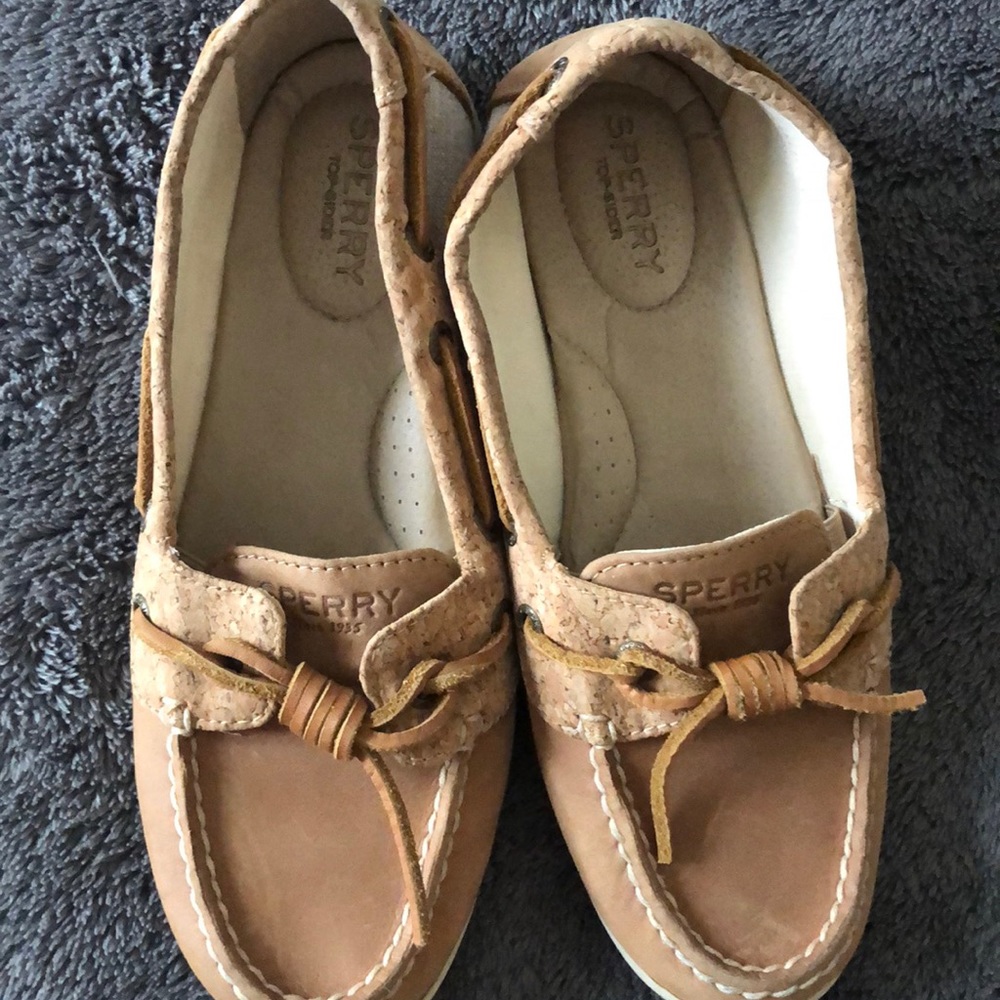 Angelfish topsider - Picture 6 of 6